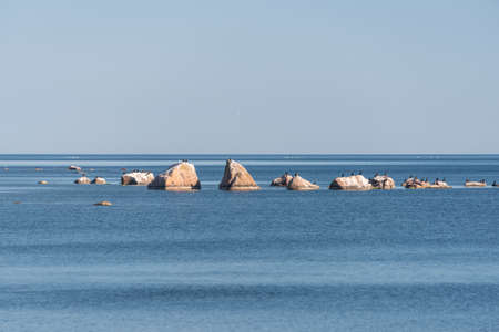 Purekkari cape is the northernmost place of mainland Estonia, located on the PÃ¤rispea Peninsula...