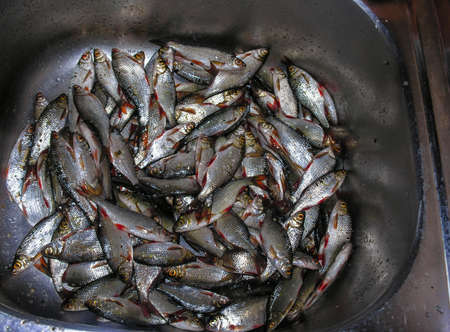 After fishing