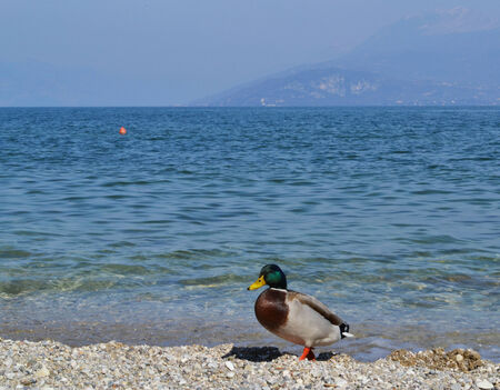 beautyfull touristの写真素材