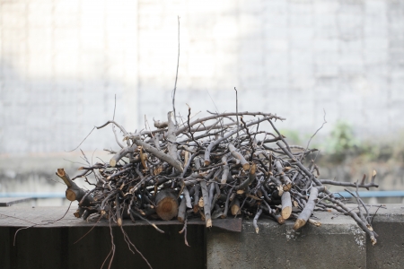 Stick pile outdoor