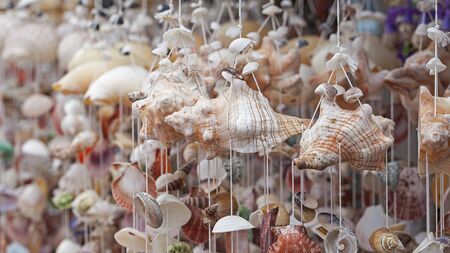 Shell mobileの写真素材