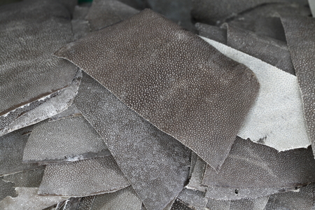 Ray skin stack