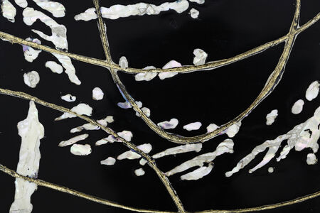 Abstract golden line with shell in black lacquer
