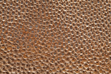 Copper leaf in bronze textureの写真素材