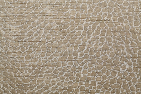 Fabric texture
