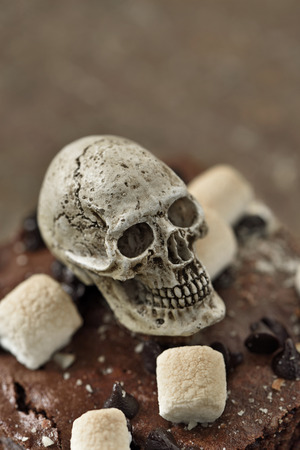 Brownie chocolate with bone head on topの写真素材