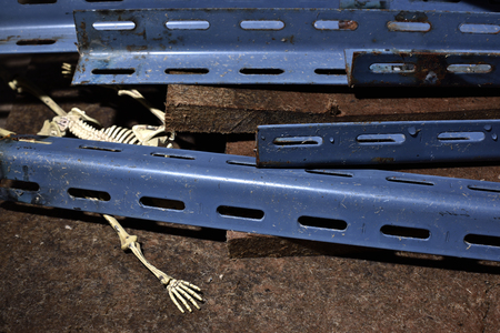 Dead in landslideの写真素材