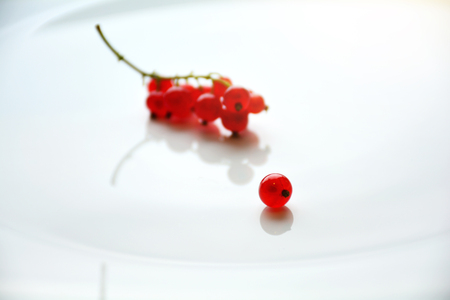 Red currant berry and a twig served on white plate background. Selective focusの写真素材