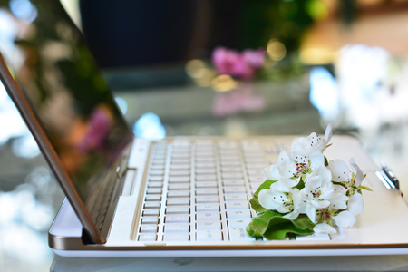 Spring in office. Cherry tree blossoms on white keyboard, bokeh backgroundの写真素材