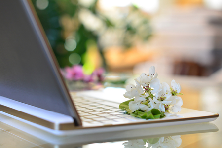 Spring in office. Cherry tree blossoms on white keyboard, bokeh backgroundの写真素材