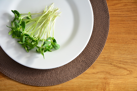 bunch of green sunflower sprouts served on a white plateの写真素材