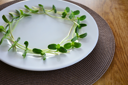 circle of green sunflower sprouts served on a white plateの写真素材