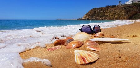 Sea shells and sunglasses on the beach. Concept for summer vacation