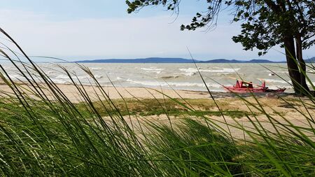 Balaton lake, Hungary. A tree and a boat on the shoreの写真素材