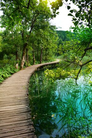 Waterfalls in forest. Plitvice national park in Croatiaの写真素材