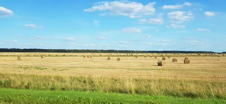 Panoramic view of hay bales field. Beautiful summer country landscapeの写真素材