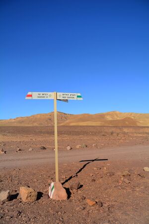 Negev Desert landscape. Single tree on the way to Red Canyon, Eilat, Israelの写真素材