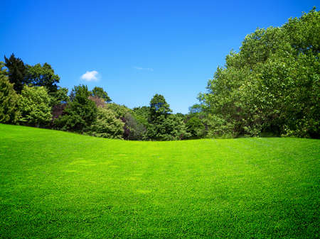 Green field