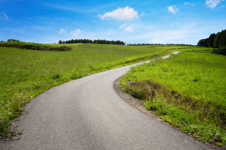 Asphalt road among green field. Meadow, sky, path.の写真素材