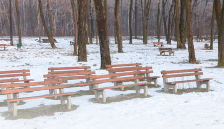 Row of benches in the park in winter time