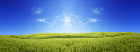 Field, hill, amazing blue sky.
