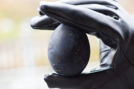 black egg in the hand ,Owakudani village, at Hakone, Japanの写真素材