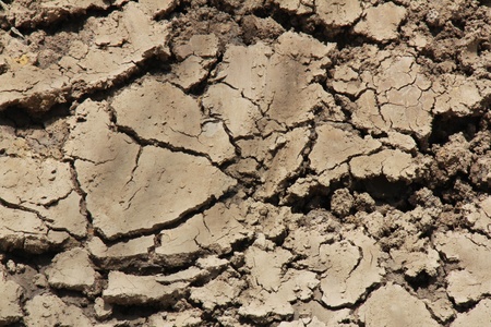 dry soil textureの写真素材