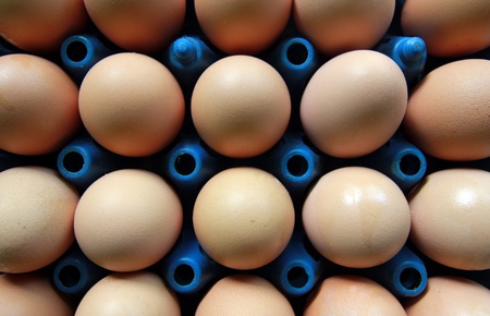 big pack of eggs