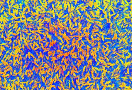 colorful abstract pattern of rice