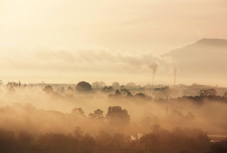 scenery of a foggy morning の写真素材