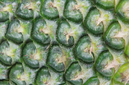 background of a pineapple texture