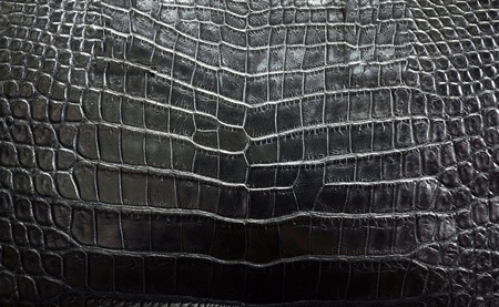 background of black crocodile skin textureの写真素材