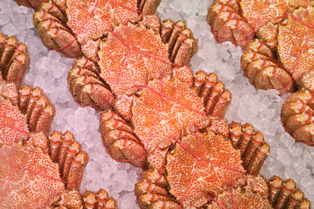 japanese hairy crabs in the market