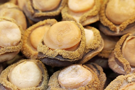 background of dried abalone