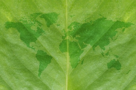 close up background of world map on green leafの写真素材