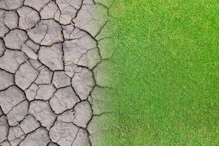 abstract background of dry soil  with green grass