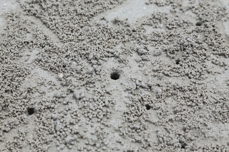 crab hole on the beachの写真素材