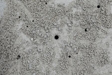crab hole on the beachの写真素材