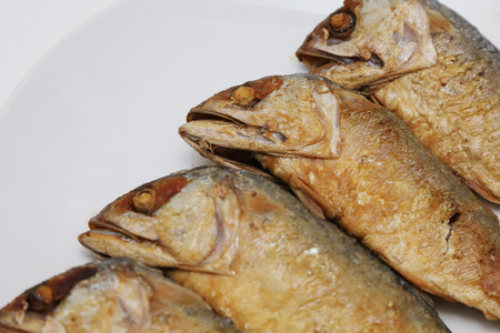 closeup on fried mackerel