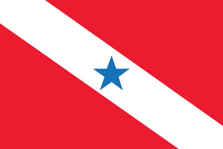 vector background of para flag stateのイラスト素材