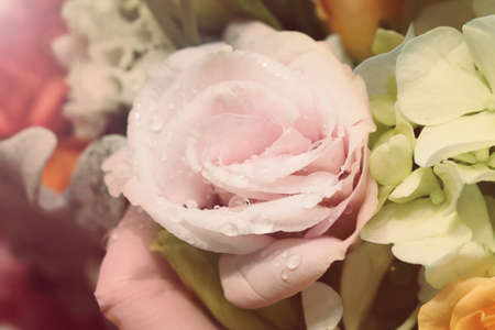 background of flower bouquetの写真素材