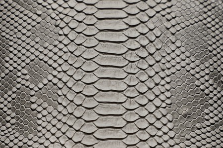 background of sneak skin textureの写真素材