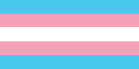 Vector of transgender flagのイラスト素材