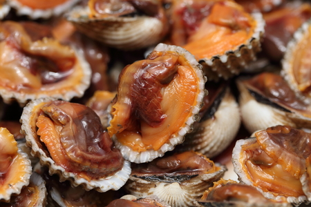 close-up on seafood dish steamed blanched cocklesの写真素材