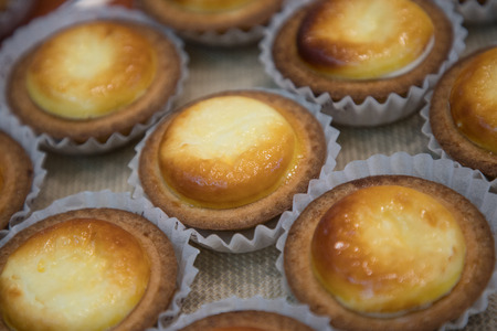 background of hokkaido cheese tartの写真素材