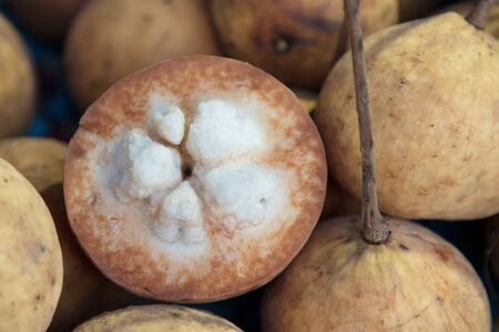 background of fresh santol fruitの写真素材