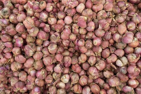 background of fresh shallot in the marketの写真素材