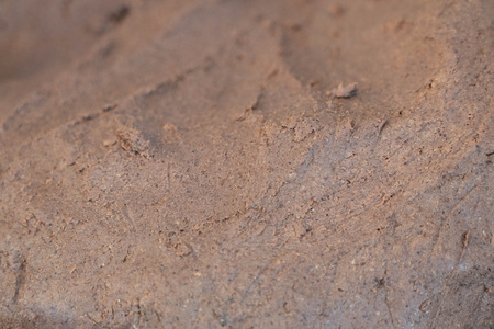 background of  shrimp pasteの写真素材