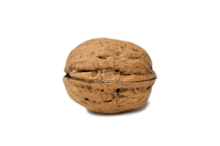 Isolated walnuts on white background