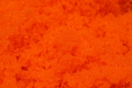 Ebiko or red japanese shrimp eggs textureの写真素材